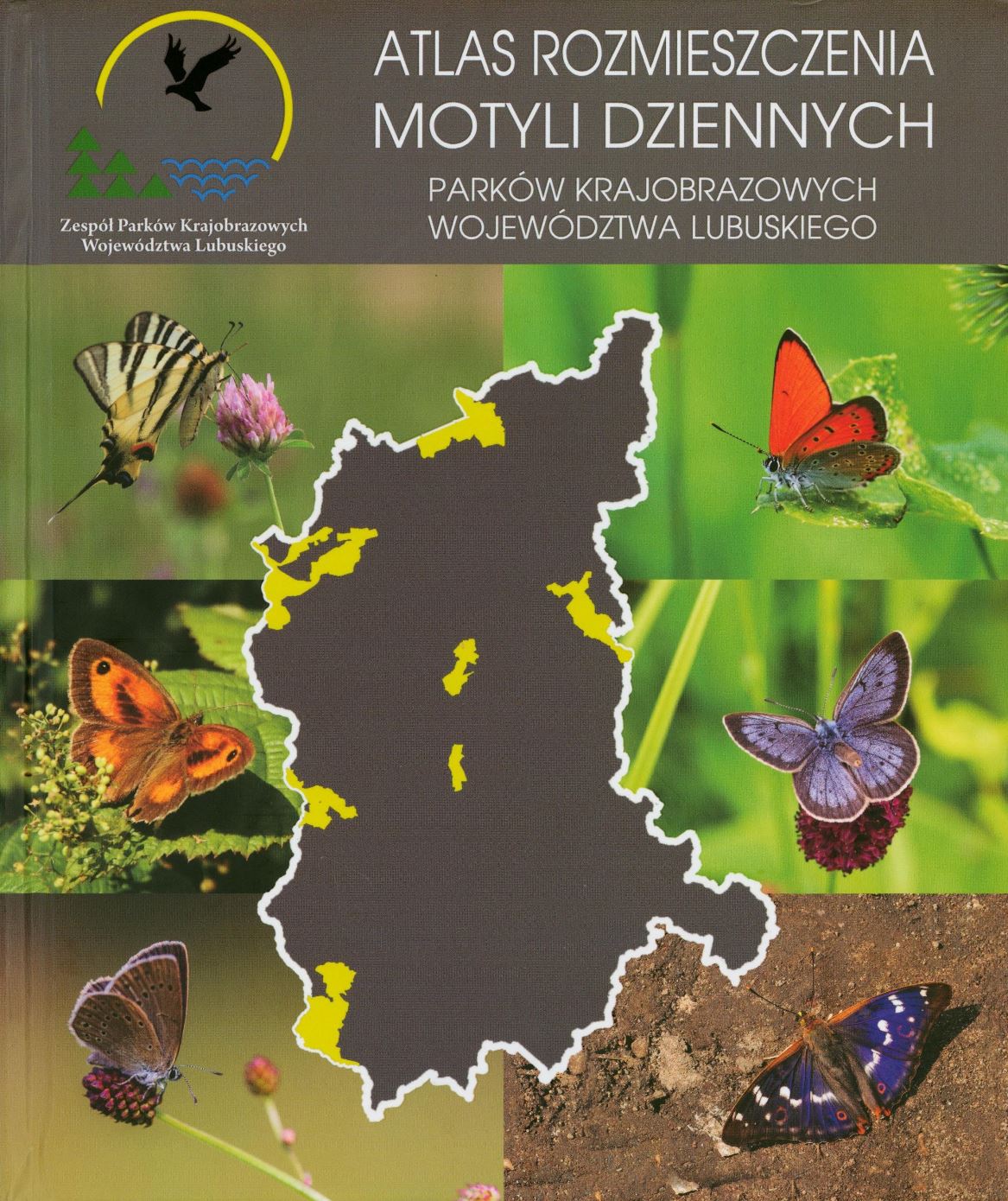 Atlas Rozmieszczenia Motyli dziennych.jpg