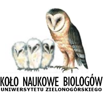 logo_kolo.png