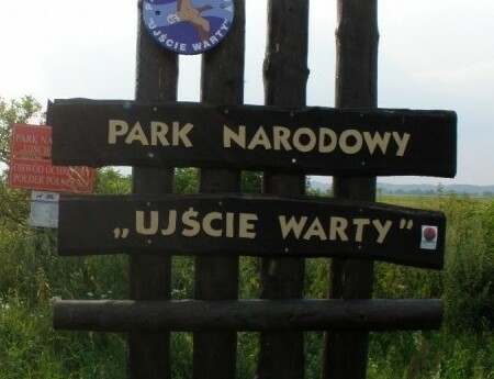 Park Narodowy Ujście Warty walczy o tytuł Nowego cudu Polski! ZAGŁOSUJ!