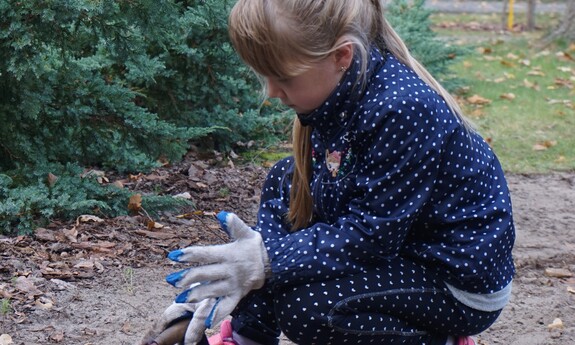 Pierwszoklasiści sadzili cebulki lilii w Ogrodzie Botanicznym UZ