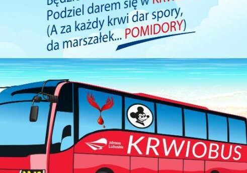 Krew za pomidory - akcja krwiodawstwa przy Urzędzie Marszałkowskim